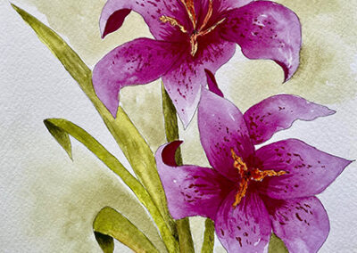 Image of Joy McCallister's painting of Lilies for the Ink and Watercolour class.