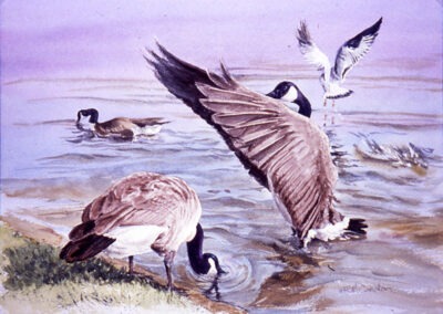 Image of KAN Class 2026 - Watercolours Beyond Basics - Rosemarie Condon